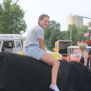 Meet your Posher, Bailey